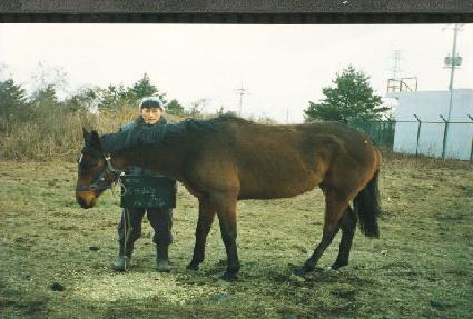 ���������� ����