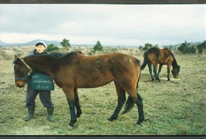 ��ŵŸ���� ����