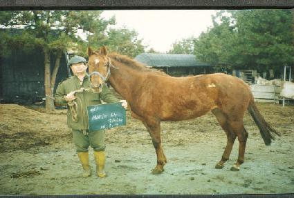 ������۷�Ƹ� ����