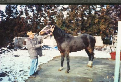 �̽�Ƽ���Ÿ���� ����