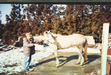 ���ڴ� ����