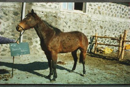 �����۷ο� ����