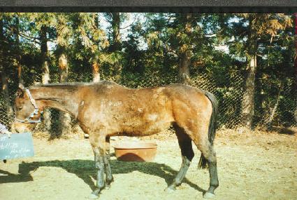 �ָ���Ȧ���� ����