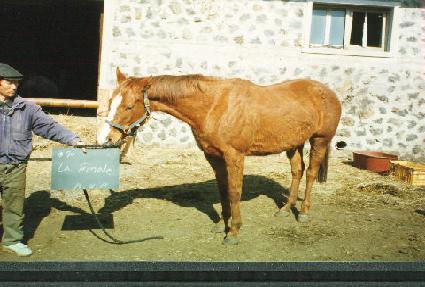 ���ǳ��� ����