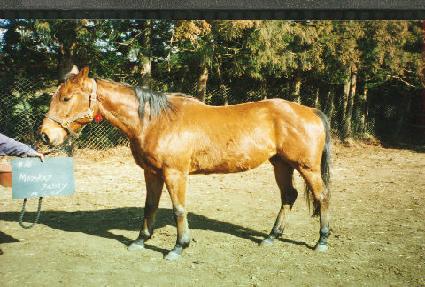 ��Ű��Ƽ ����