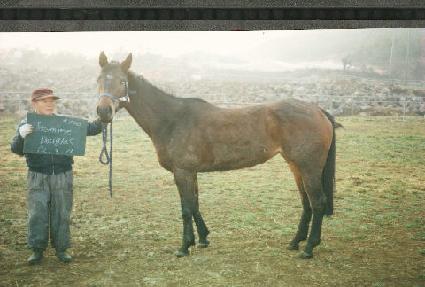 �𽺹δ��۶� ����