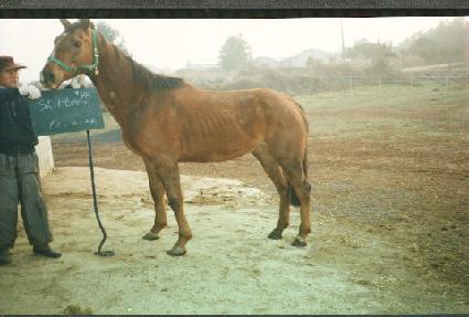 ��Ŀƾ ����