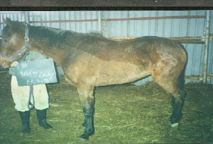 �극���Ϸ��̵� ����