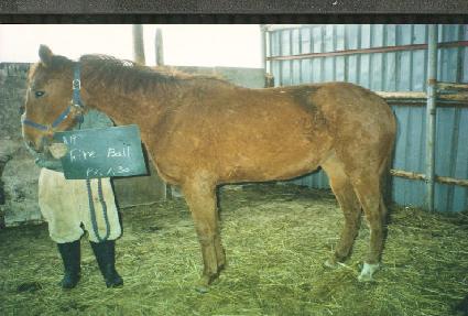 ȭ�̾ ����