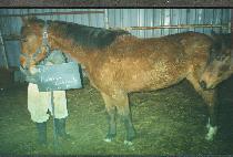 ���Ϸ���ĳ�����̵� (ISLAND CASCADE) ����