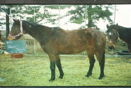 ������ ����