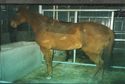 �̵��̽� ����