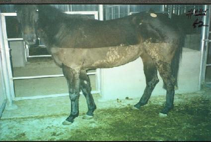 ��Ƽ�� ����