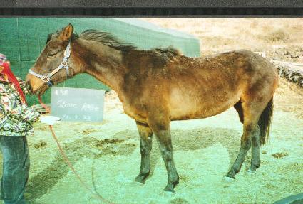 ����ο��� ����