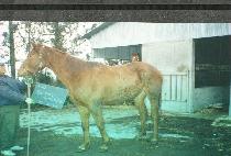 BARTON COTTAGE picture