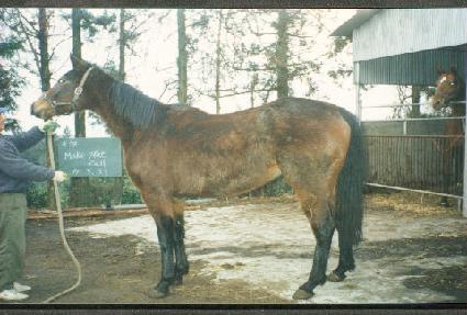 ���ʹ��� ����