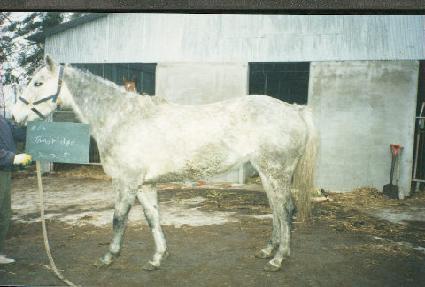 �ĵ帮�� ����