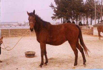 ��Ʈ�ÿ��� ����