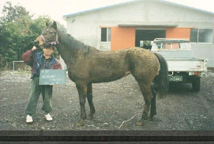 ��Ÿ��Ŭ���� ����