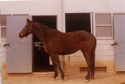 ���¾ִ� ����