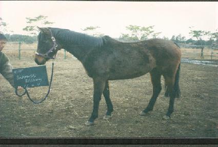 �ٷδϽ������� ����