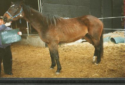 ���̵�Ʈ ����