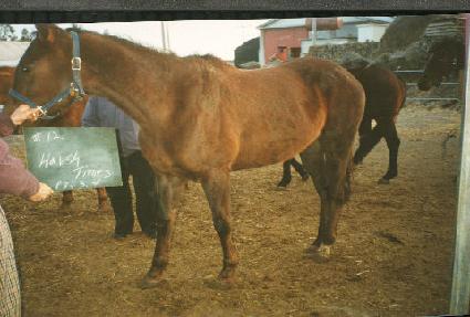 �Ͻ�Ÿ���� ����