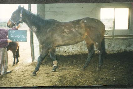 ����Ŭ������ ����