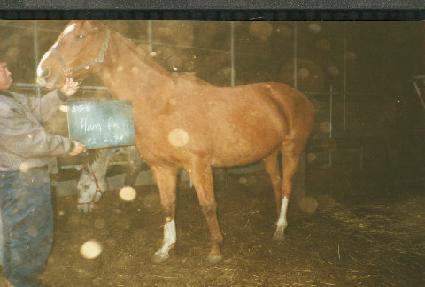 �ϴ��� ����