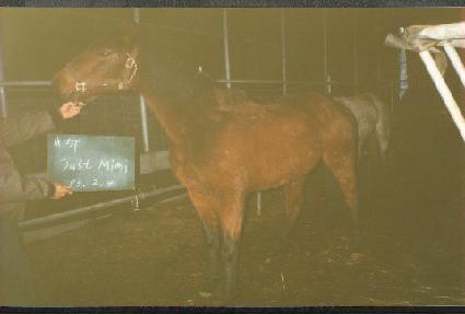 ����Ʈ�̹� ����