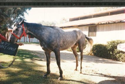 �׷���ũ����Ʈ ����