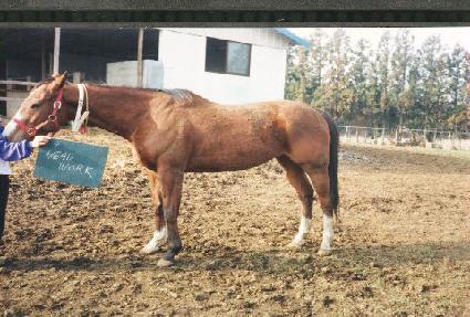 ����ũ ����