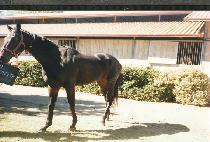 ���丮Ƽ�� (APERITIF) ����