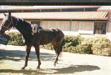 ���丮Ƽ�� ����