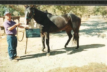 ������ε��� ����