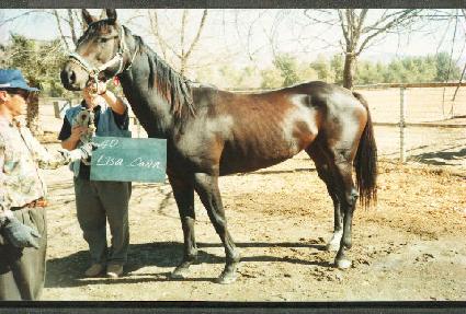 ���絷 ����