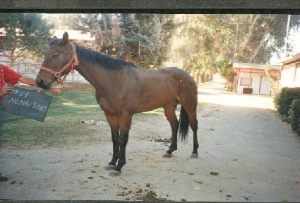 ����̼Ž� ����