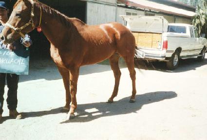 ������ġ ����