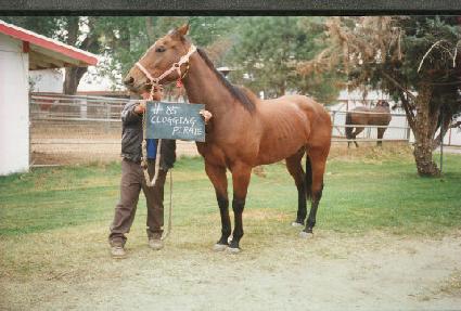 Ŭ�α����̾ ����