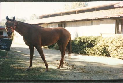 �������̺� ����