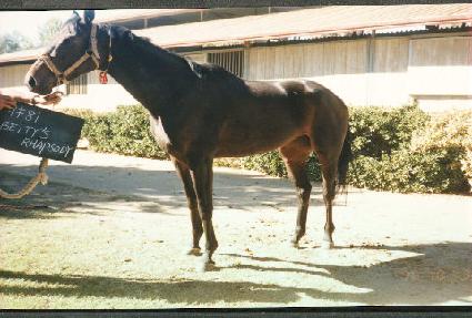 ��Ƽ��ҵ� ����