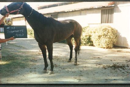 �ʹ����� ����