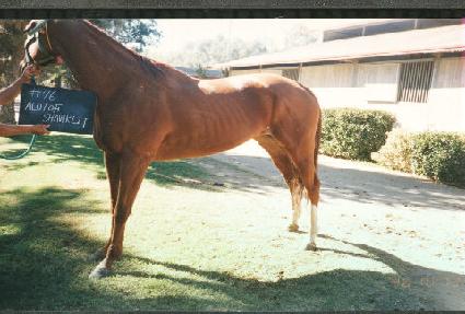 ��������Ŭ�� ����