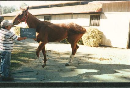 ��ġ������ ����