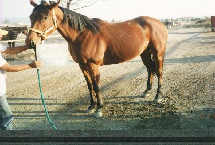 �ݴ���Ʋ���� ����