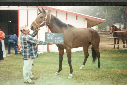 ��Ʈ���帵ũ ����