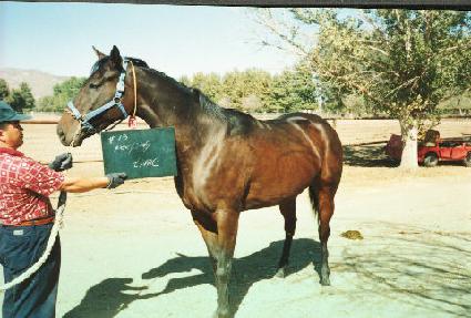 Ű��Ÿ�� ����