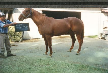 ž�� ����