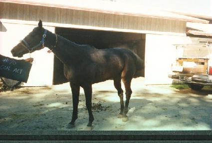 ĭ��Ʈ ����