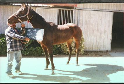 �����׻� ����